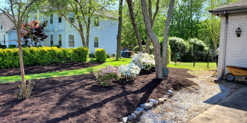 Commercial Lawn Maintenance in Chesapeake, Virginia