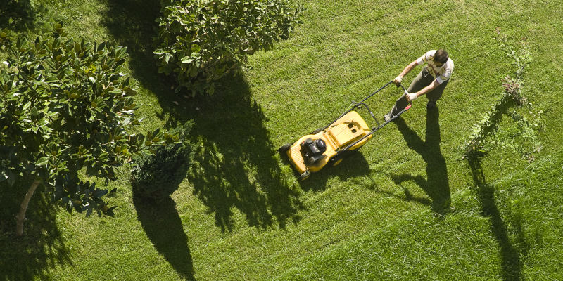 Commercial Lawn Mowing in Greenbriar, Virginia